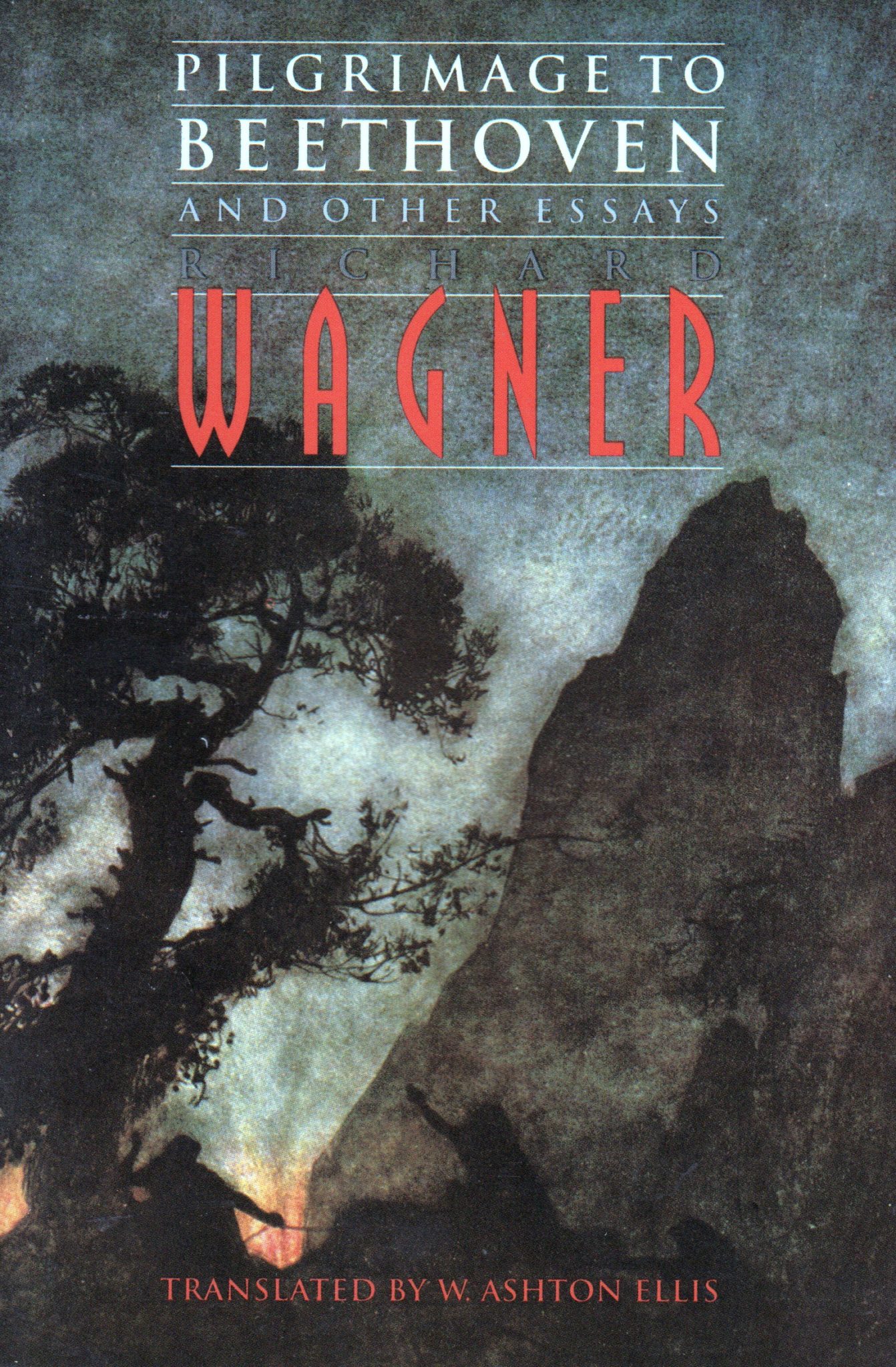 Wagner composer image